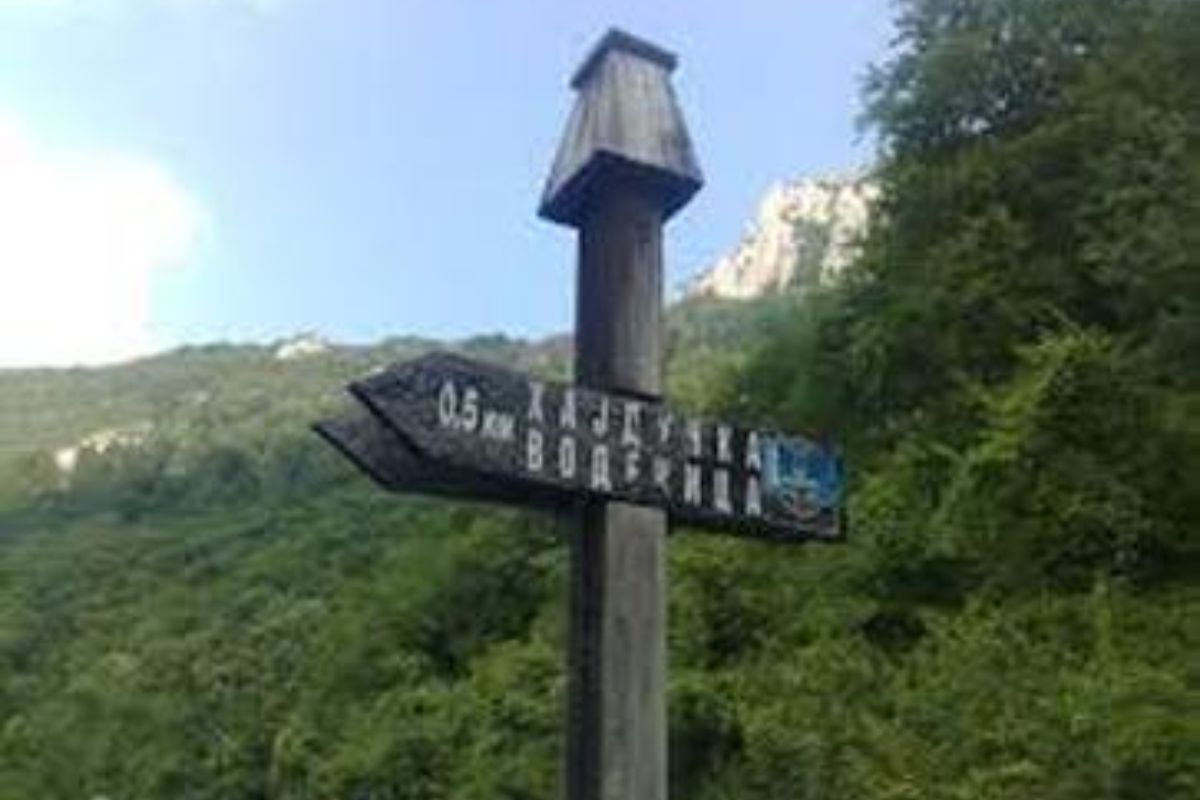 project-image